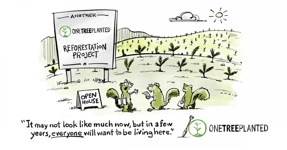 cartoon about reforestation